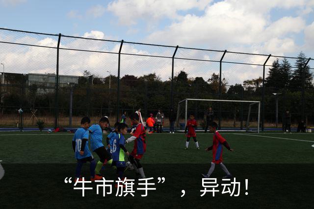 “牛市旗手”，异动！